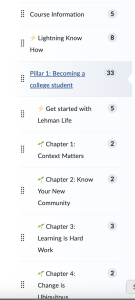Selection of the table of contents from Brightspace